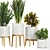 Modern Indoor Plant Set V5 3D model small image 3