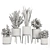 Modern Indoor Plant Set V5 3D model small image 4