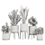 Modern Indoor Plant Set V5 3D model small image 7