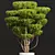 Concinna Bonsai Set, 3D Models 3D model small image 3