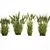 Lush Wheat Spikelet Cluster for Natural Decor. 3D model small image 5