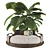 Tropical Plant Collection Set 3D model small image 1