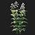 Prairie Penstemon 2017 Model Kit 3D model small image 2