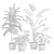 Exotic Indoor Plants Selection Pack 3D model small image 3