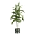 Exotic Indoor Plants Selection Pack 3D model small image 5