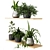 Modern Plant Collection 3D Model 3D model small image 2