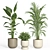  Modern Indoor Plant Set 3D model small image 2