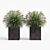 Modern Square Planters Set of 2 3D model small image 4