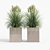 Modern Square Planters Set of 2 3D model small image 5