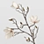 Nordic Terracotta Vases with Magnolia 3D model small image 2