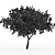 Acacia Tree Models Collection 3D model small image 3