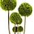 Elegant Cypress Pom Pom Topiary 3D model small image 4