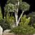 Alpine Garden Plant Collection 3D model small image 3