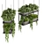 Premium Hanging Plant Collection - HD Quality 3D model small image 2