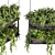 Premium Hanging Plant Collection - HD Quality 3D model small image 5