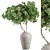 Indoor Oasis: Tree and Bush 3D model small image 1