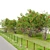 Punica Granatum Tree Set 3D model small image 2