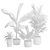 Exotic Indoor Plants Pack 43 3D model small image 3