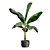 Exotic Indoor Plants Pack 43 3D model small image 5