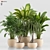 TurboSmooth Wicker Indoor Plant Set 3D model small image 1