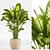 TurboSmooth Wicker Indoor Plant Set 3D model small image 2