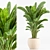 TurboSmooth Wicker Indoor Plant Set 3D model small image 3