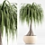 TurboSmooth Wicker Indoor Plant Set 3D model small image 4