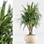 TurboSmooth Wicker Indoor Plant Set 3D model small image 5