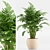 TurboSmooth Wicker Indoor Plant Set 3D model small image 6