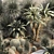 Desert Oasis Plant Collection 3D model small image 4