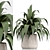 Set of Indoor Plants Icons 3D model small image 6