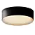 Radiant Re-Volt Ceiling Light 3D model small image 1