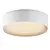 Radiant Re-Volt Ceiling Light 3D model small image 2