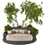 Garden Lobby Trees Collection Set 3D model small image 1