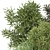 Outdoor Bush Plants Set 805 3D model small image 2