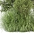 Outdoor Bush Plants Set 805 3D model small image 4
