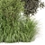 Outdoor Bush Plants Set 805 3D model small image 5