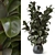 Rubber Tree Plant Decor Green 3D model small image 1