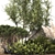 Alpine Garden Set: Juniper & Fir 3D model small image 2