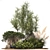 Alpine Garden Set: Juniper & Fir 3D model small image 6