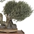 Bonsai Tree 3D Model Set 3D model small image 5