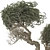 Bonsai Tree 3D Model Set 3D model small image 6