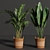 Variety Indoor Plants Collection 25 3D model small image 4