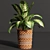 Variety Indoor Plants Collection 25 3D model small image 5