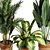 Variety Indoor Plants Collection 25 3D model small image 8