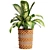 Variety Indoor Plants Collection 25 3D model small image 10