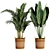 Variety Indoor Plants Collection 25 3D model small image 11