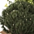 Urban Oasis Collection: Shrubs & Trees 3D model small image 5