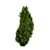 Optimized Mediterranean Cypress Tree Model 3D model small image 5