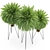 Exotic Plants Collection 916 Grande 3D model small image 3